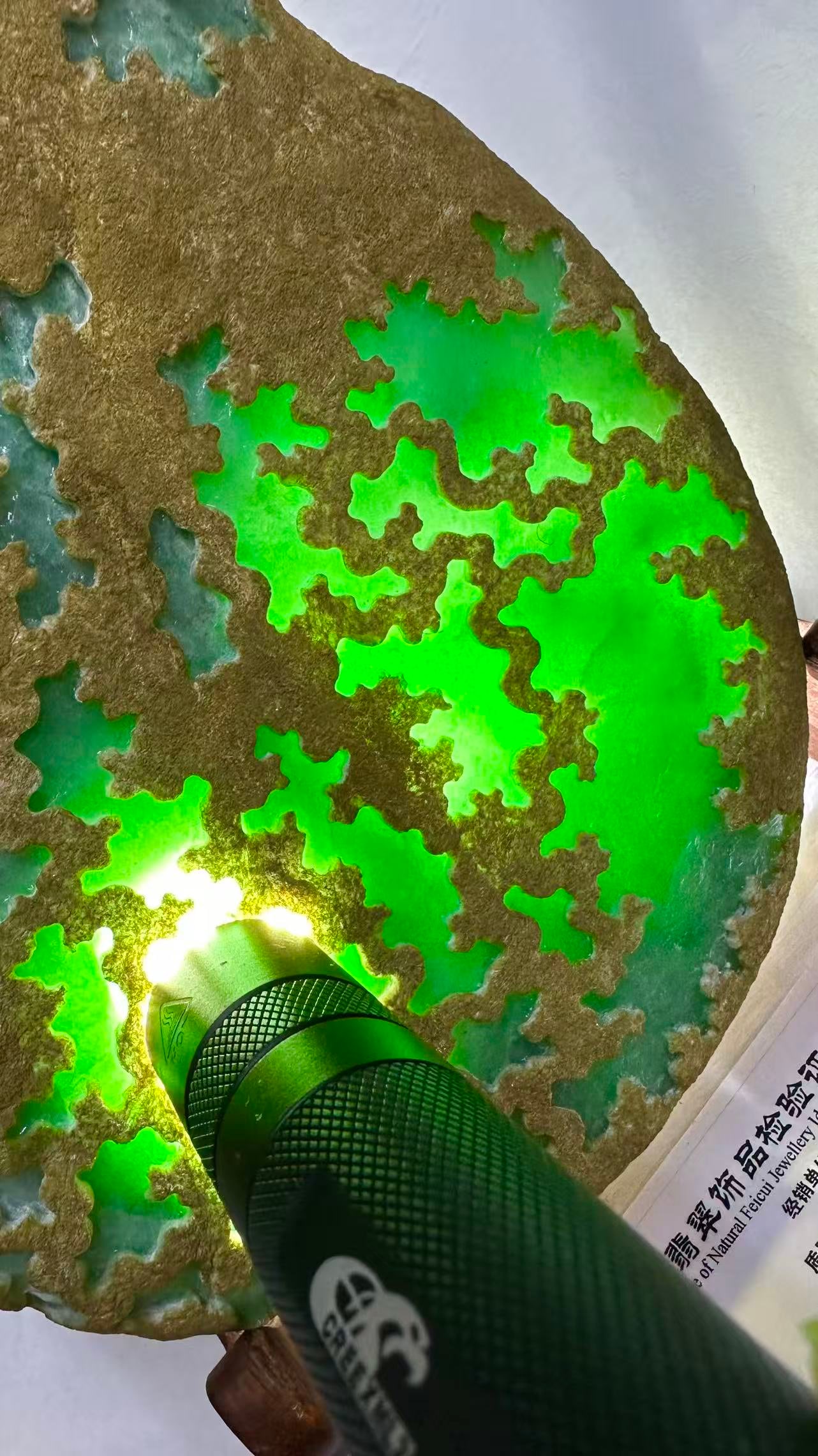 Jadeite Rough Stone - 8