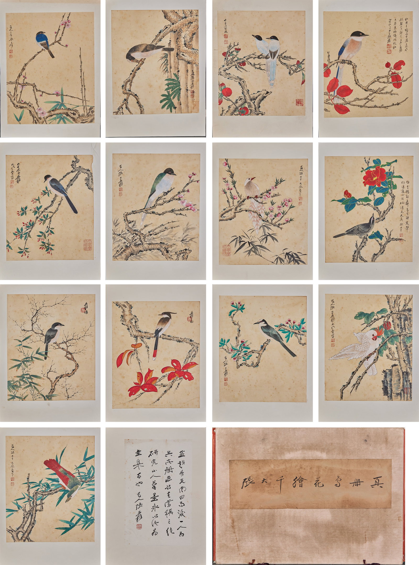 Album of 13 Flower and Bird Paintings, by Zhang Daqian: Complete Thirteen-Leaf Fine Brush Flower and Bird Album by Zhang Daqian. Hand-painted with colors on rice paper depicting four-season flower and bird scenes including plum branches with sparrows, magn