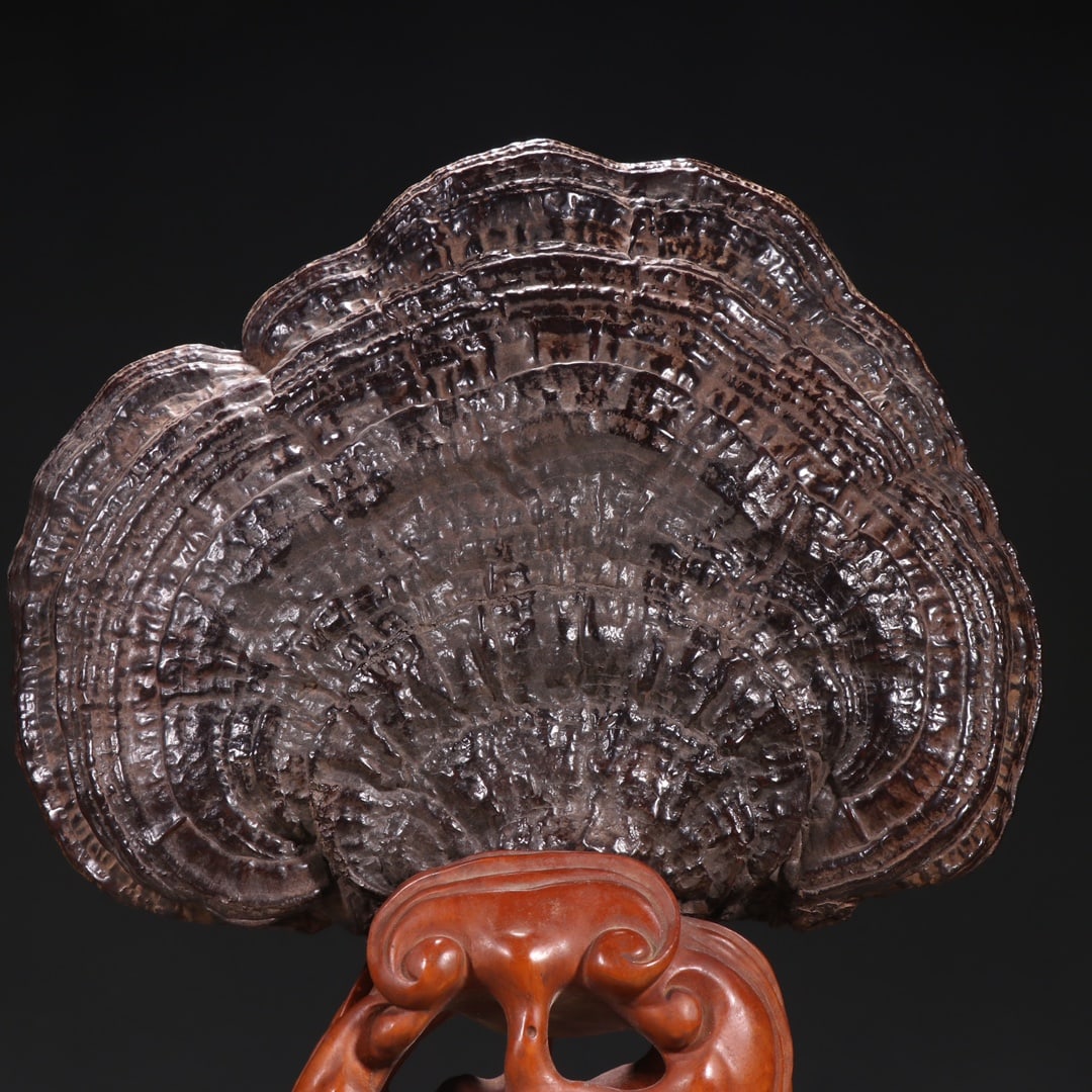 Ganoderma Lucidum Ornament - 2