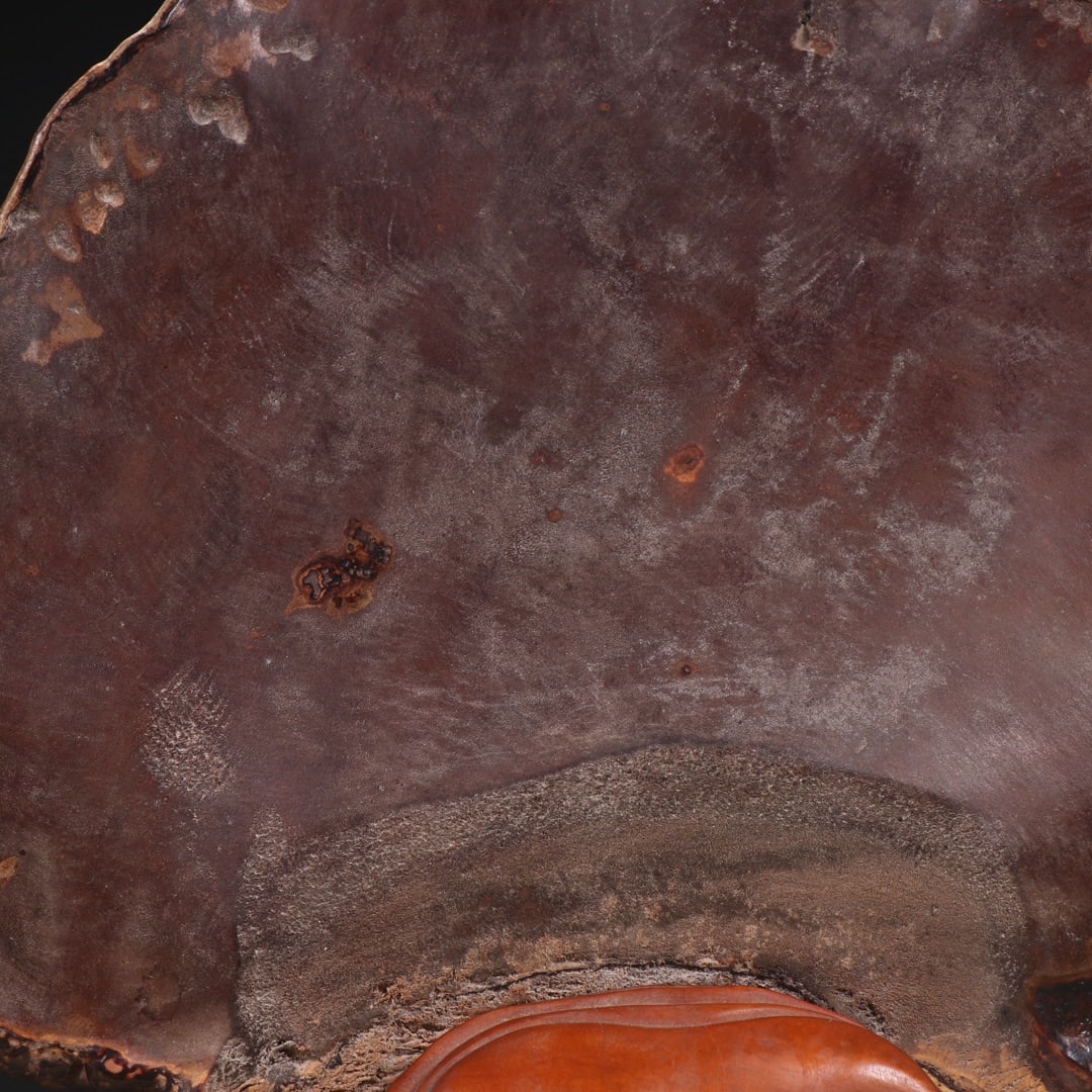 Ganoderma Lucidum Ornament - 7