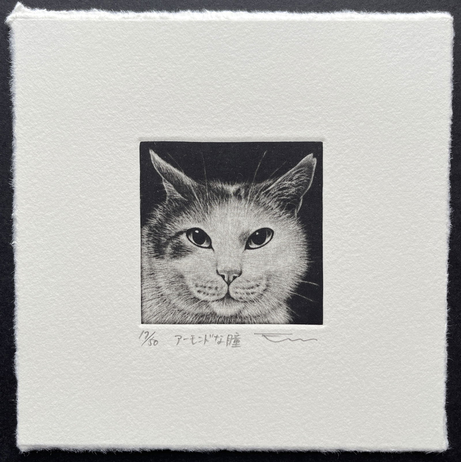 Emi Sato : Almond Eye (1 of 3)