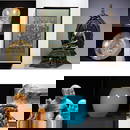 Thank you for coming