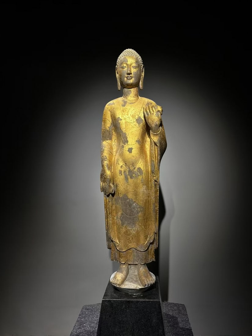 A 6th-century bluestone Buddha statue with gilded patterns: Height:138cm, width:48cm