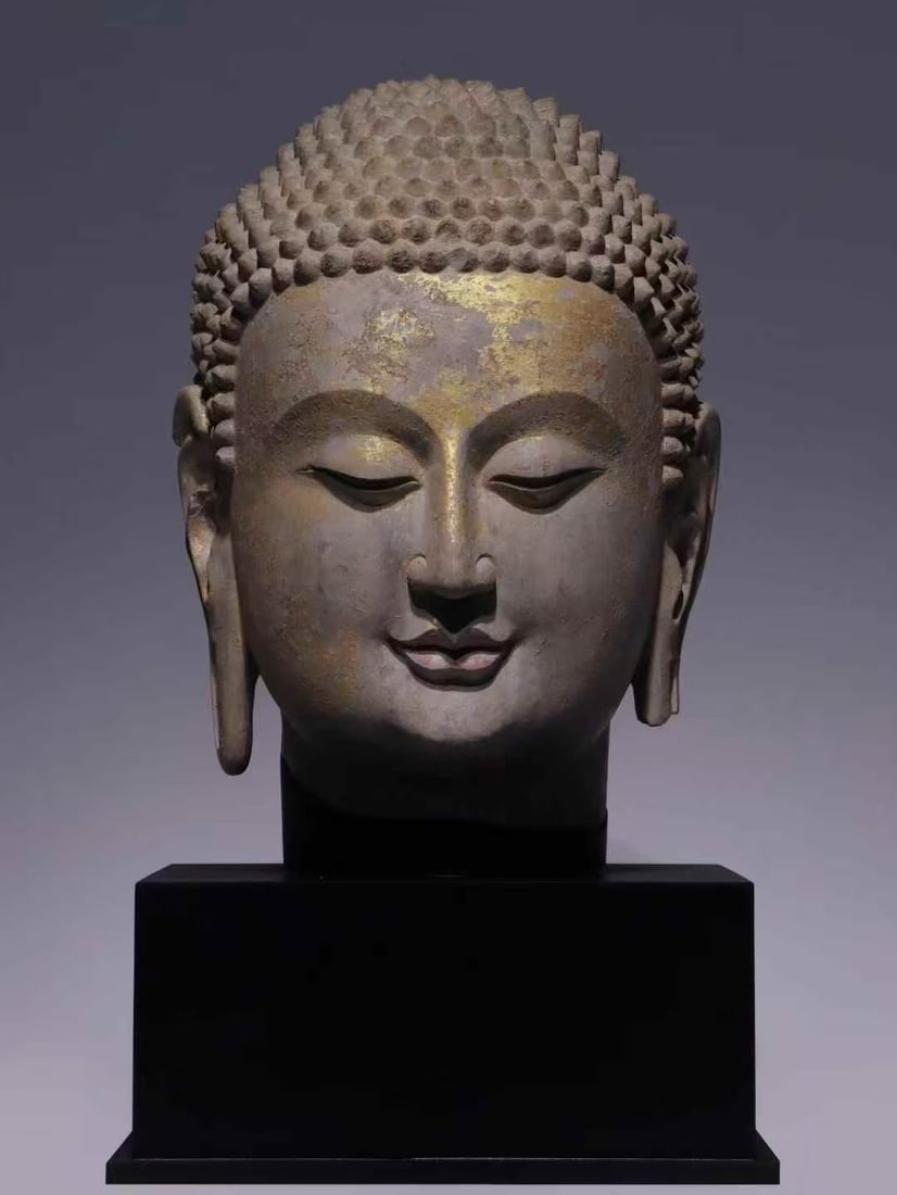 A 6th-century gilded Buddha head made of bluestone (1 of 6)