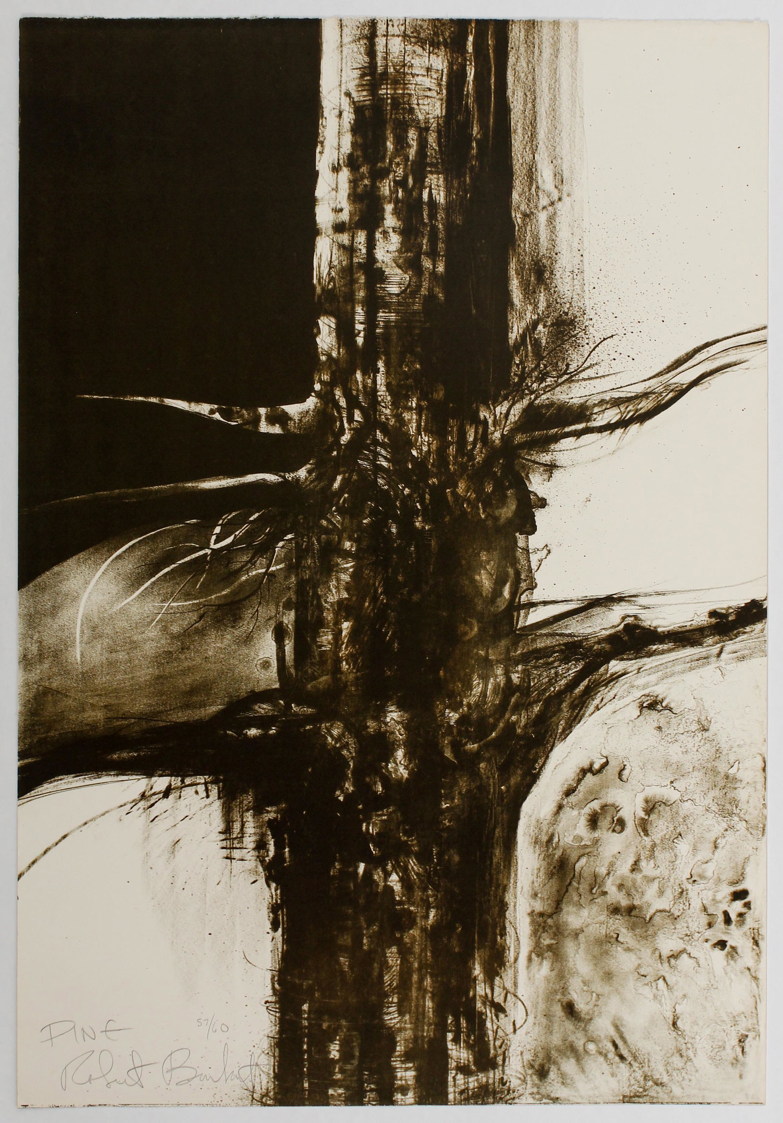 Robert Burkert (American, B. 1930) Pine (1 of 2)