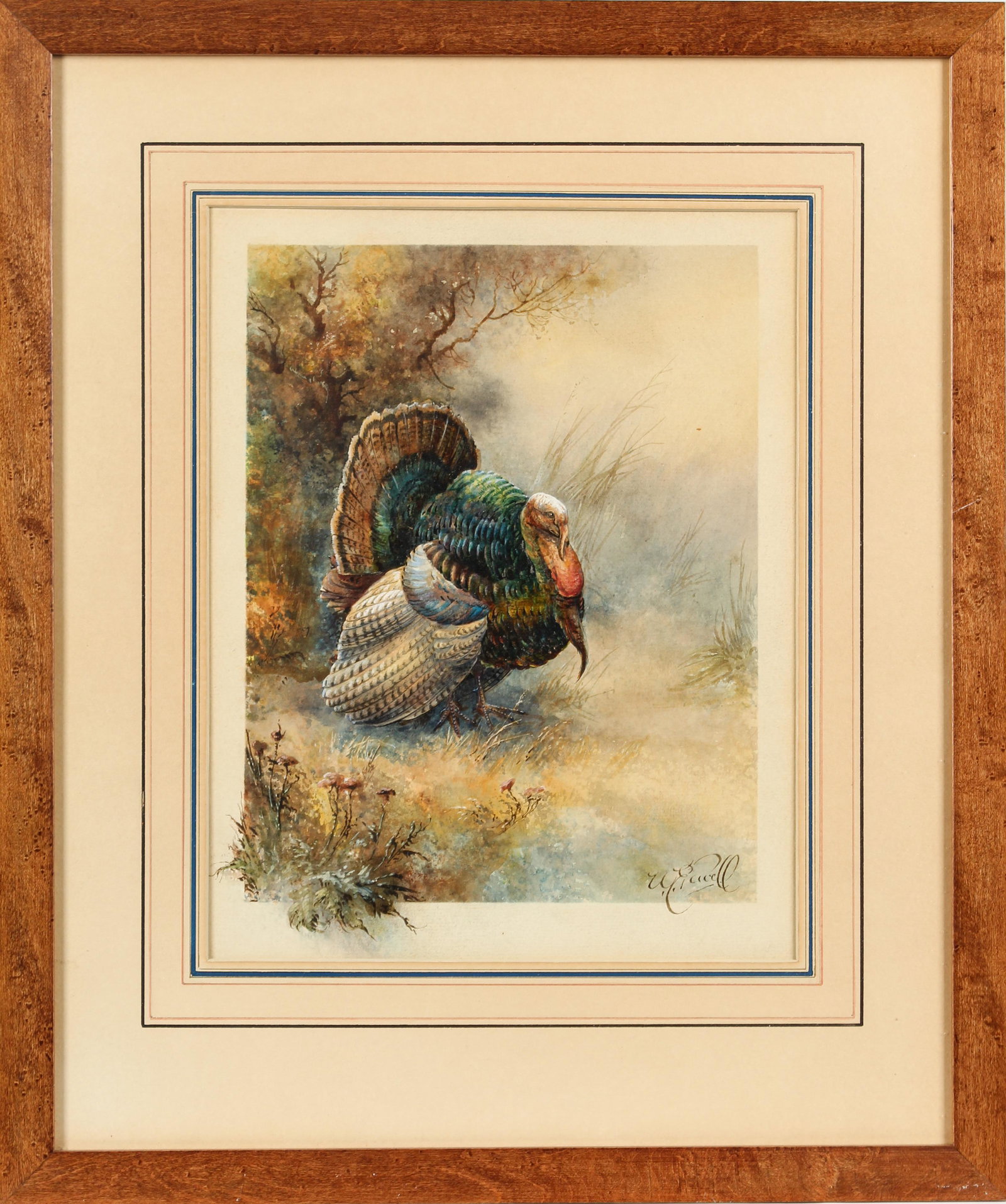 William E. Powell (British, 1878-1955) Wild Turkey (1 of 5)