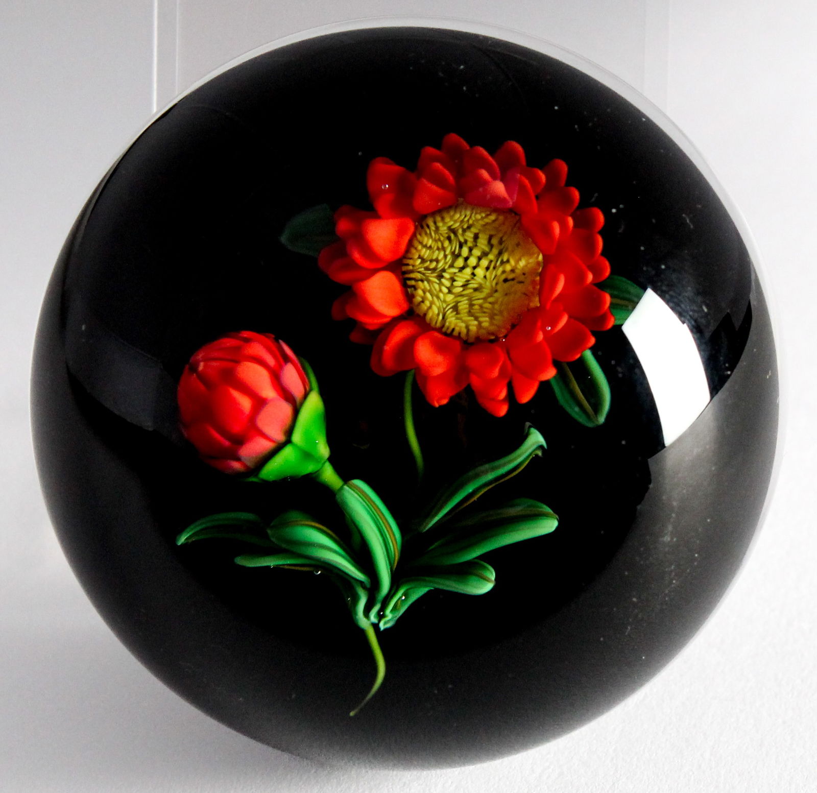 Ken Rosenfeld Red Daisy Flower, Buds, and Foliage Signed Paperweight,1999: Description: A signed Ken Rosenfeld daisy flower lampwork paperweight, presented with a single bud and foliage, all on a black ground. Signature cane above base and signed "KR '99". Type: Paperweight