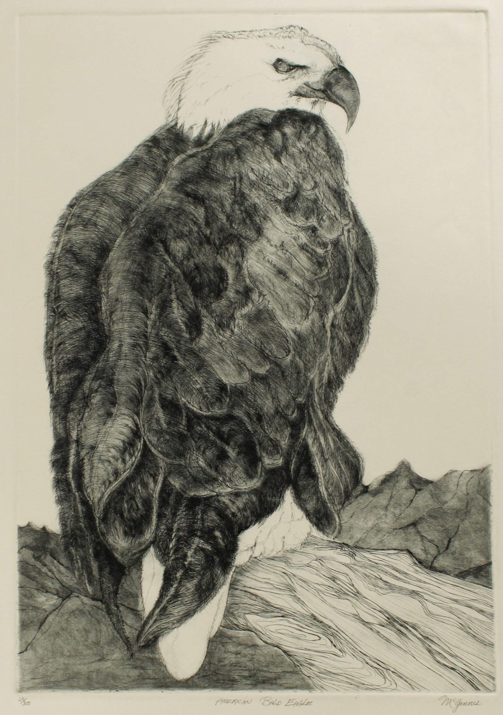 Christine McGinnis (American, 1937-2019) American Bald Eagle, Etching (1 of 3)