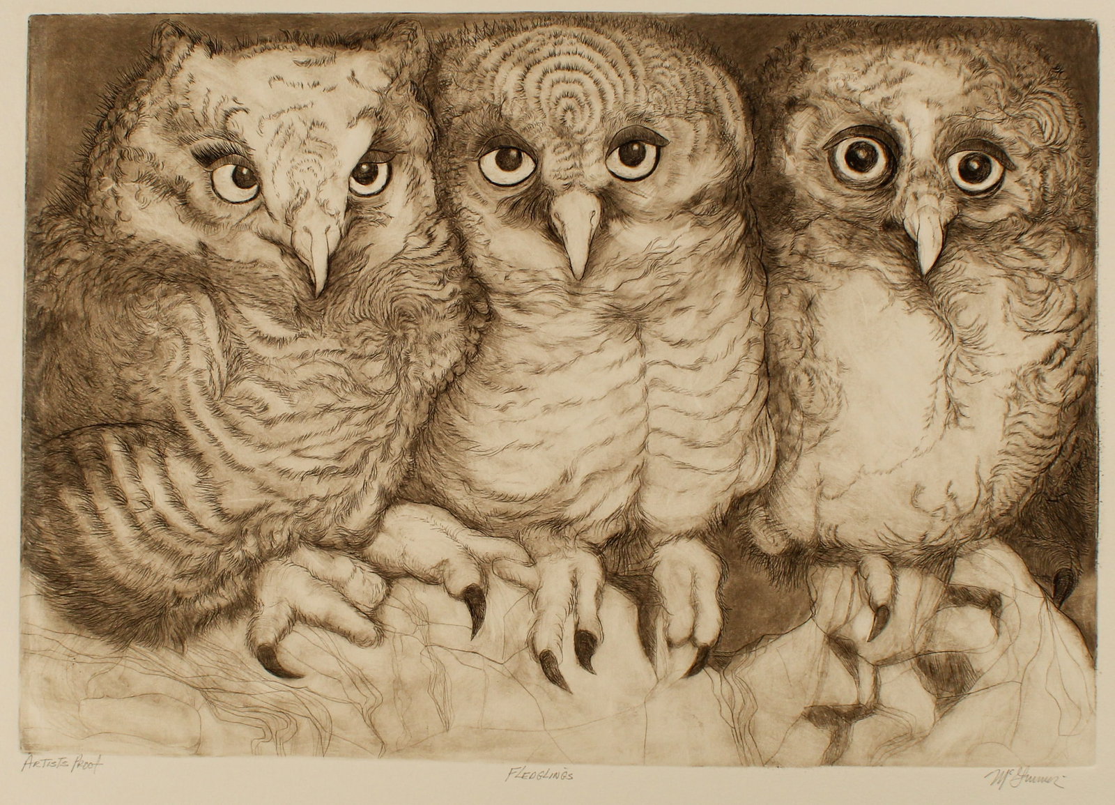 Christine McGinnis (American, 1937-2019) Fledglings, Etching, Art (1 of 3)