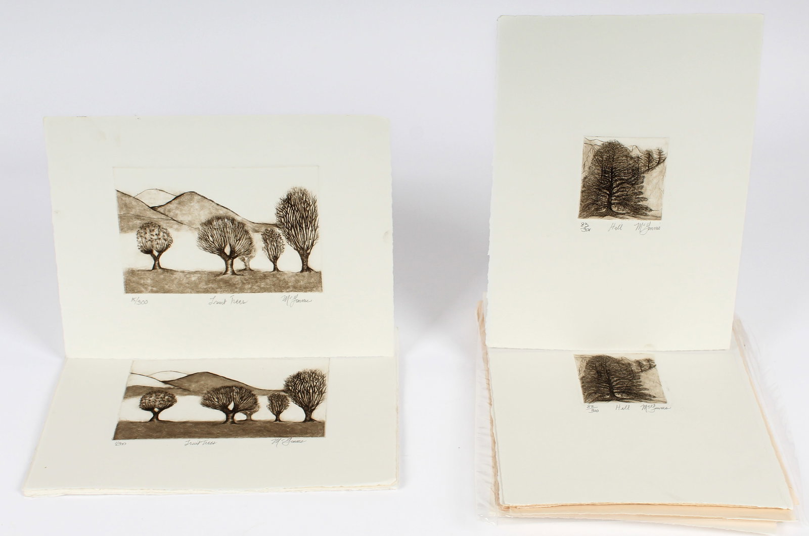 Christine McGinnis (American, 1937-2019) 39 Signed Etchings, Fruit Trees (8), Hill (31) (1 of 4)