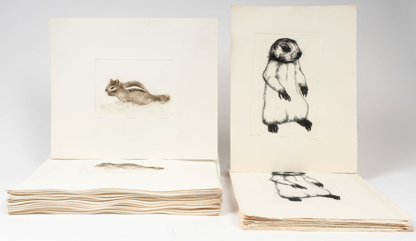 Rodger LaPelle & Christine McGinnis, Eighty Nine Etchings, Chipmunk, Prarie Dog (1 of 5)