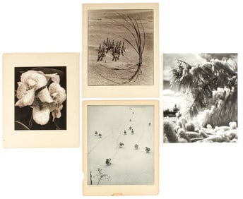 R. R. LaPelle, Exhibited Silver Gelatin Nature Photographs Ca. 1950, Nature