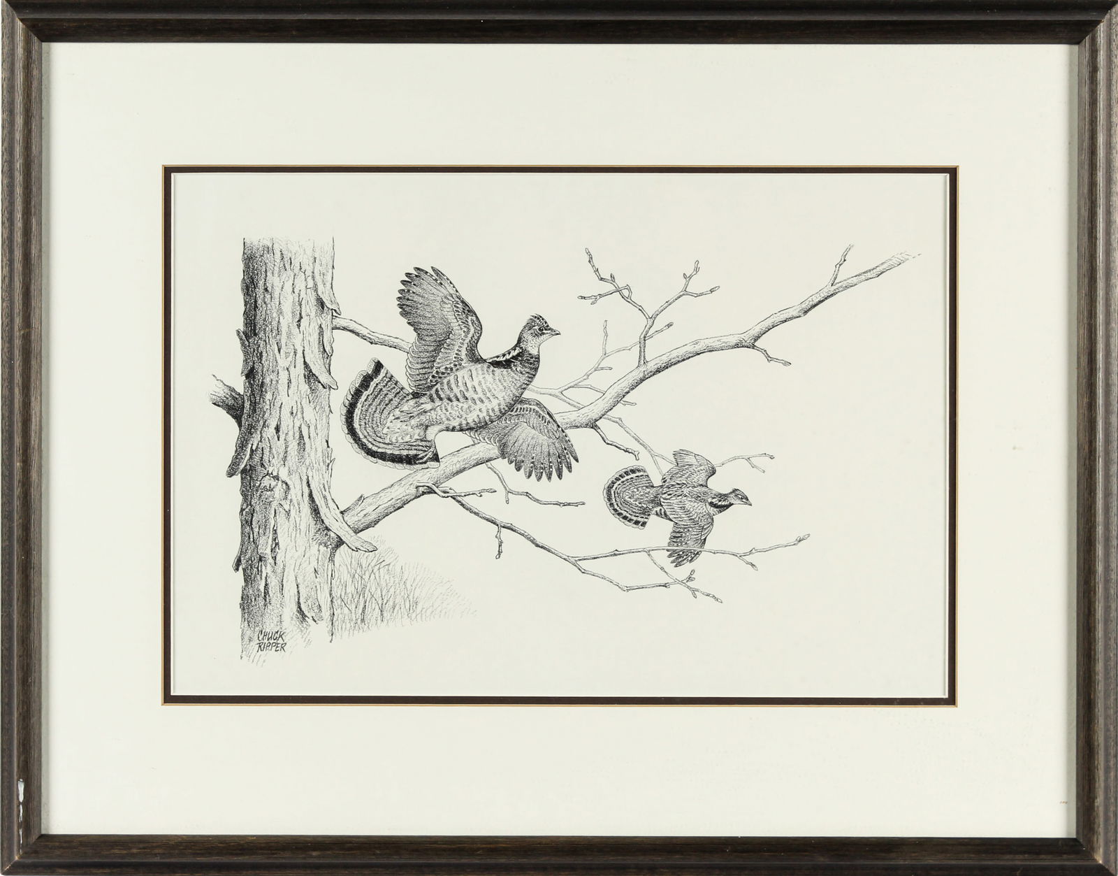 Chuck Ripper (American 1929-2019) Bird Lithograph With Mockup Drawing, Ruffed Grouse (1 of 4)