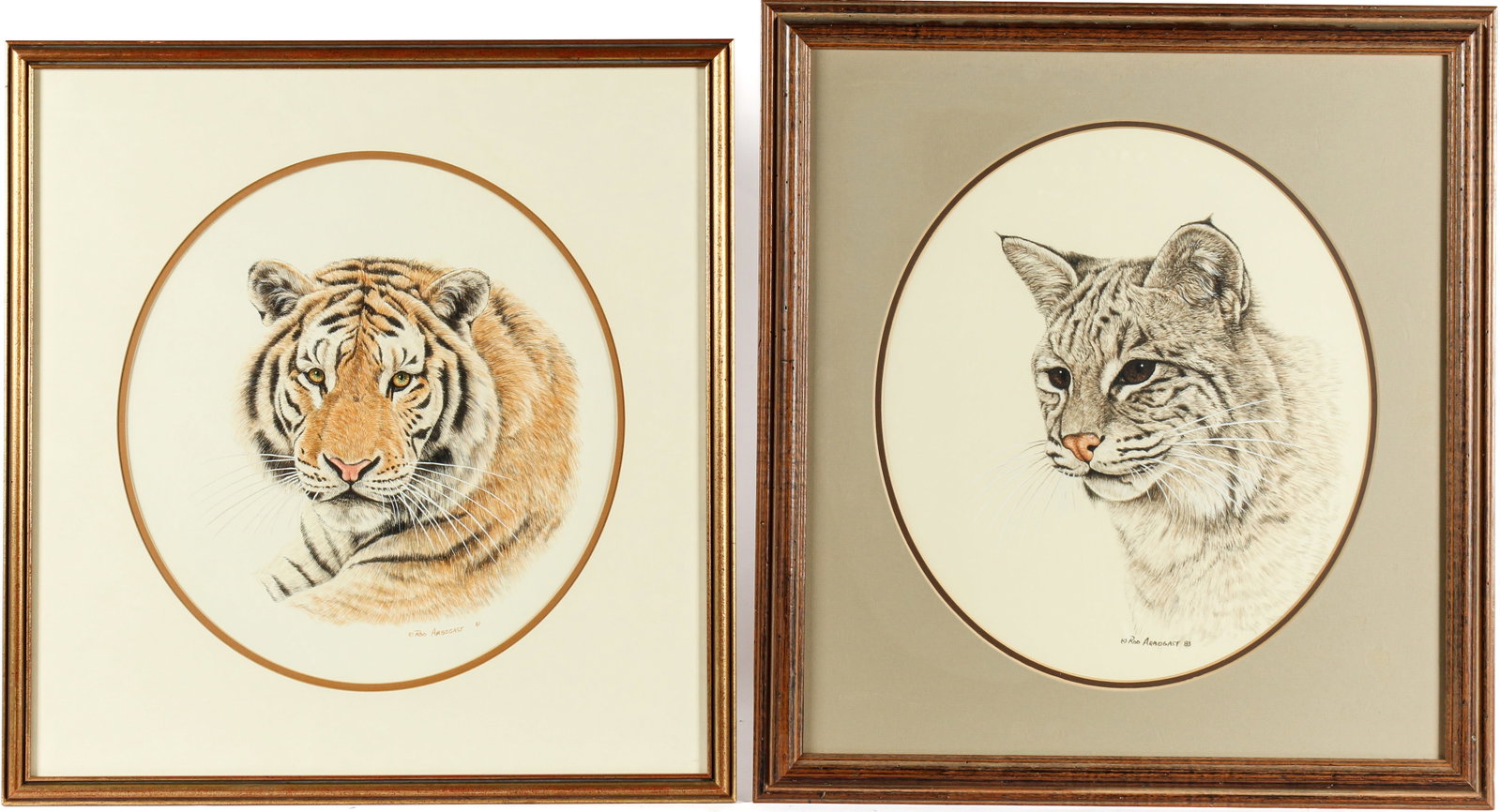 Rod Arbogast (American, 1948-2024) Bobcat, Tiger, Watercolor Paintings: Description: Two realist wildlife watercolor paintings depicting a tiger and bobcat. Materials: Watercolor on paper Markings & Inscriptions: Signed and dated Date: 1983 (Bobcat), 1981 (Tiger) Maker: R