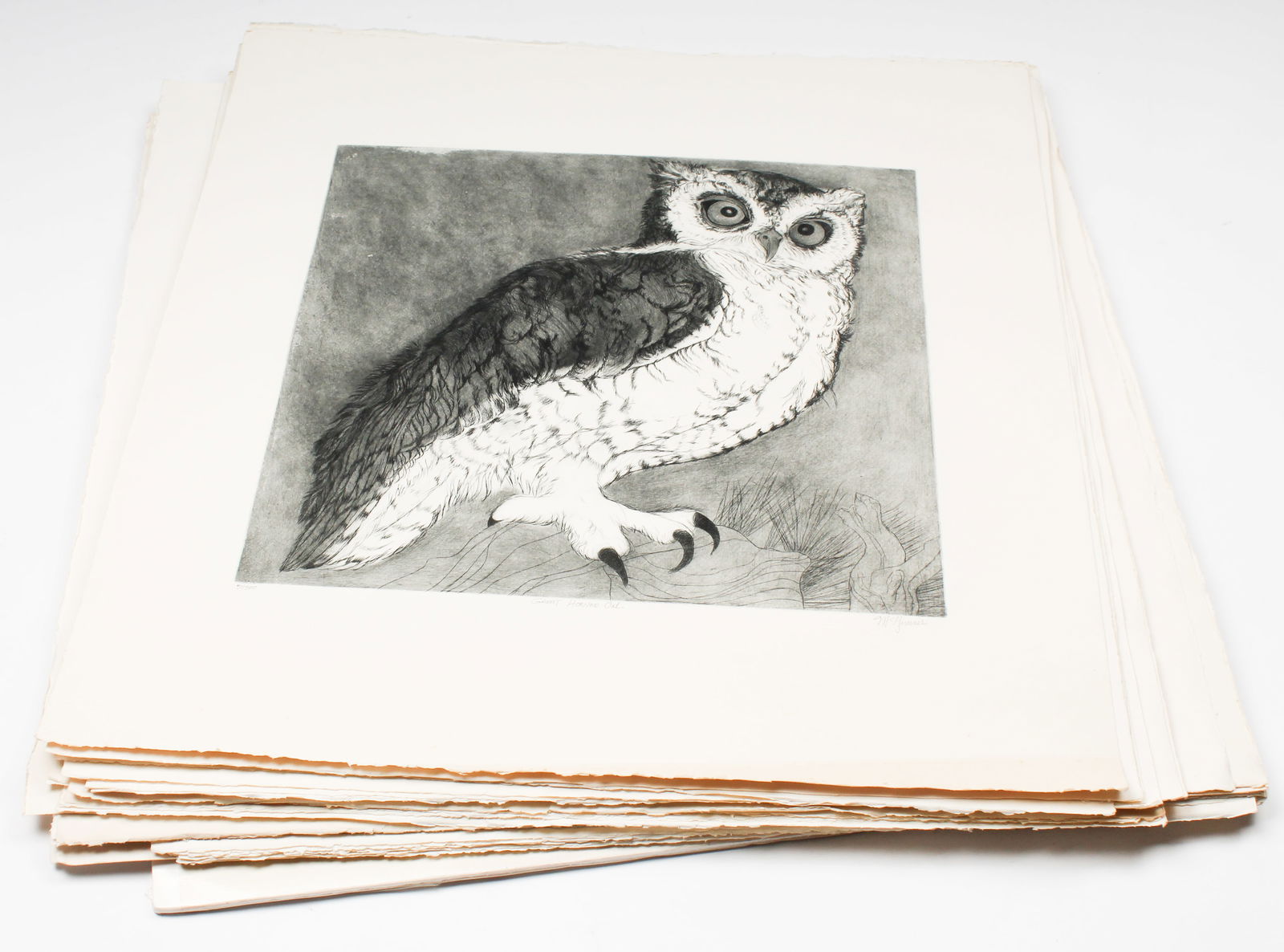 Christine McGinnis (American, 1937-2019) 36 Etchings "Great Horned Owl". Incl. Artist's Proof (16) (1 of 3)