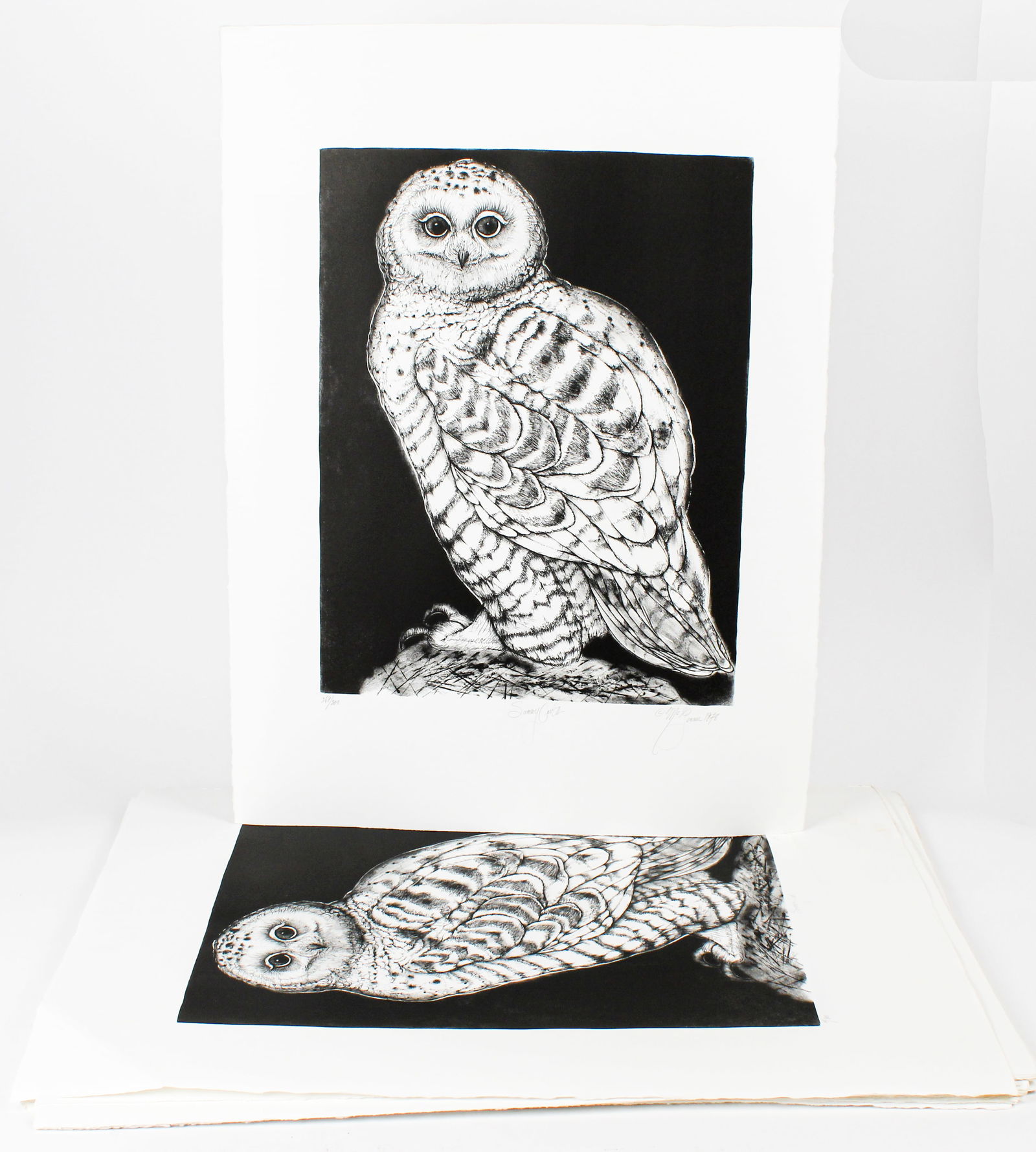 Christine McGinnis (American, 1937-2019) 42 Etchings "Snowy Owl" (1 of 4)