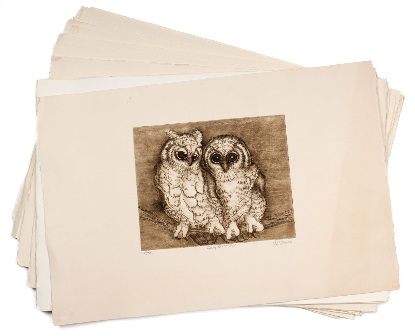 Christine McGinnis (American, 1937-2019) 34 Etchings "Milky Eagle Owls" (1 of 2)