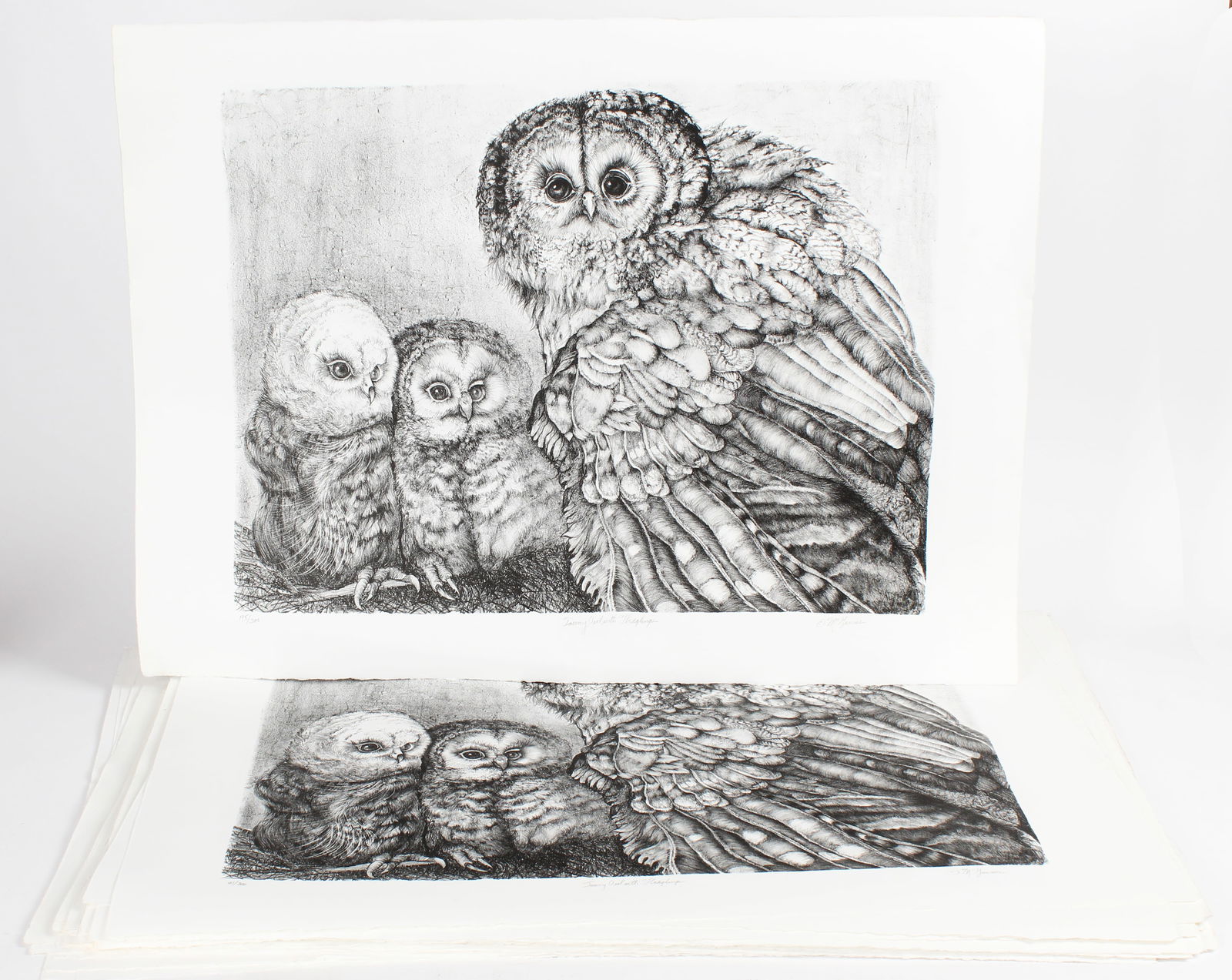 Christine McGinnis (American, 1937-2019) 46 Etchings "Tawny Owl With Fledglings" (1 of 4)