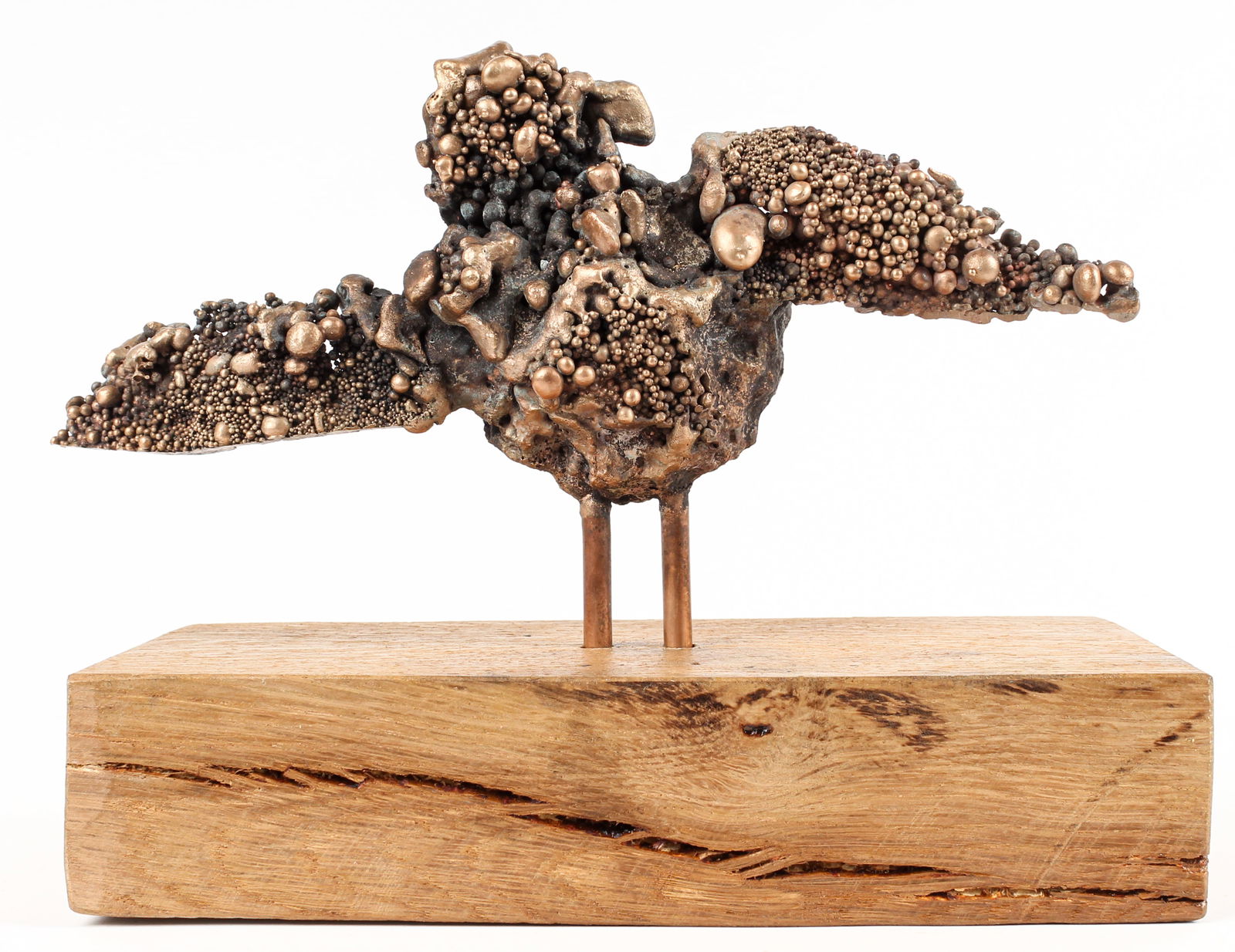 Melissa Strawser (american, Contemporary) Bird Of Paradise, Phosphor