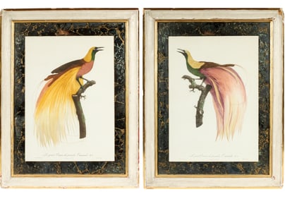 After Jacques Barraband, Two Hand Colored Etchings, Birds Of Paradise