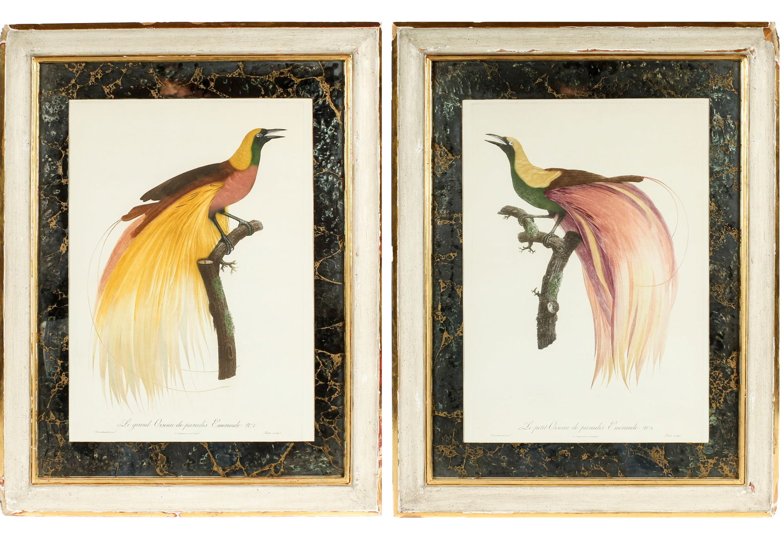 After Jacques Barraband, Two Hand Colored Etchings, Birds Of Paradise (1 of 10)