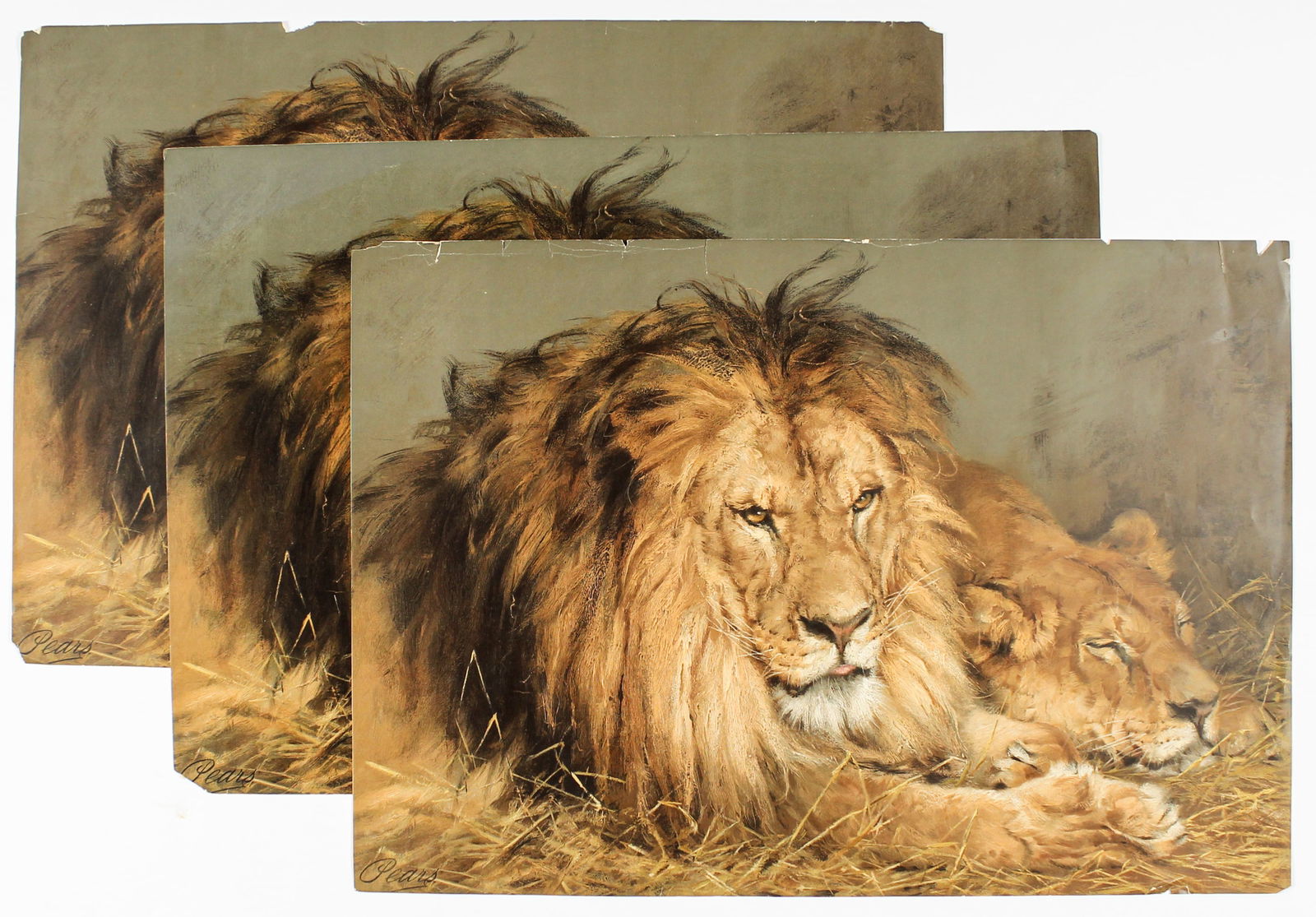 Three Original Pears Soap Chromolithographs, The British Lion (and Lioness) (1 of 3)