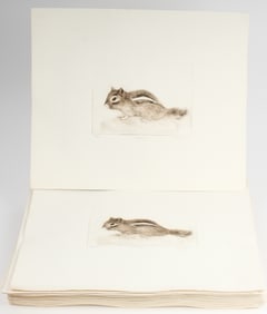 Rodger LaPelle (American, 1936-2020) Forty-Eight Etchings, Chipmunk