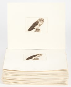 Rodger LaPelle (American, 1936-2020) Seventy Nine Etchings, Barn Owl