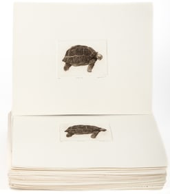 Rodger LaPelle (American, 1936-2020) Fifty Nine Etchings, Turtle