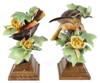 Dorothy Doughty Royal Worcester Male & Female Baltimore Oriole Porcelain Figures