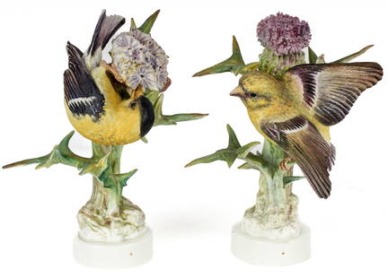 Dorothy Doughty Royal Worcester Porcelain Goldfinch Pair: Description: A pair of male and female bisque porcelain goldfinches, designed by Dorothy Doughty for Royal Worcester ca. 1936. Both are marked as "New York Office Sample" to the side of the base. Mate