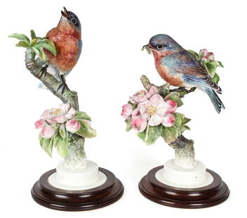 Dorothy Doughty Royal Worcester Porcelain Eastern Bluebirds Pair: Description: A male and female pair of bisque porcelain Eastern Bluebirds amongst Apple Blossoms, designed by Dorothy Doughty ca. 1936 for Royal Worcester. Each is marked to the side of the base "New