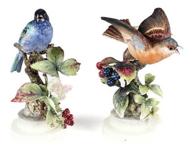 Dorothy Doughty Royal Worcester Porcelain Indigo Bunting Figurine Pair: Description: A male and female pair of bisque porcelain Indigo Buntings amongst blackberry sprays, a Dorothy Doughty design for Royal Worcester Porcelain, England.Materials: Porcelain Markings & Inscr