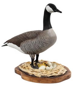 Large Keith J Davidson Canada Goose Carved Wood Model, Decoy