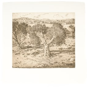 Gillian Pederson-Krag (American, B. 1938) Landscape, Signed Etching