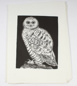 Christine McGinnis (American, 1937-2019) 50 Signed Snowy Owl Lithographs