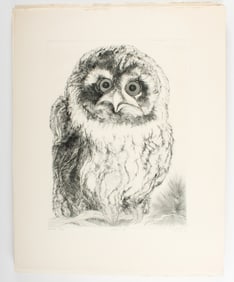 Christine McGinnis (American, 1937-2019) 39 Signed Wood Owl Etchings