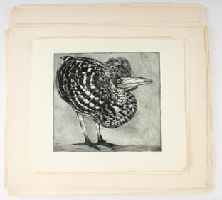 Christine McGinnis (American, 1937-2019) 46 Signed Banded Tiger Heron Etchings