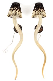 African Kudu Horn Sconces With Porcupine Quill Shades