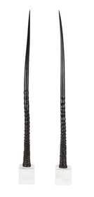 Lucite Mounted Gemsbok Horns