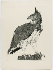 Christine McGinnis (American, 1937-2019) Twenty-Four Martial Eagle Signed Etchings