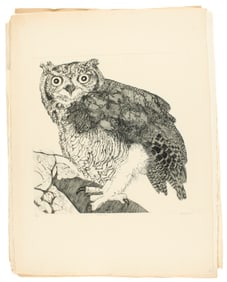 Christine McGinnis (American, 1937-2019) Forty-Two Eagle Owl Signed Etchings