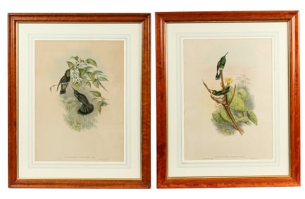 Two John Gould (British, 1804-1881) Hand-Colored Hummingbird Lithographs