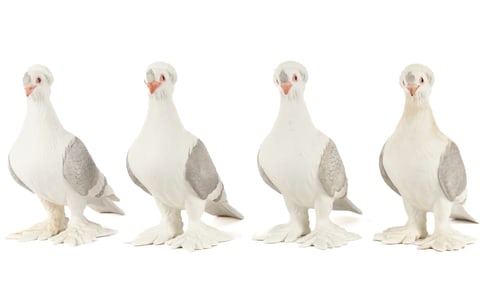 Four Boehm Porcelain Tumbler Pigeons