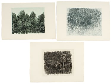 Three Herbert Fink (American, 1921-2006) Etchings, Trees and Landscapes