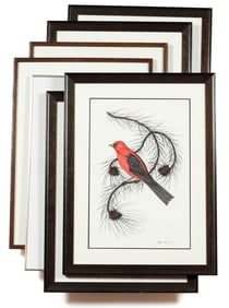 Seven Hugh McKenzie (Canadian, Contemporary) Bird Paintings