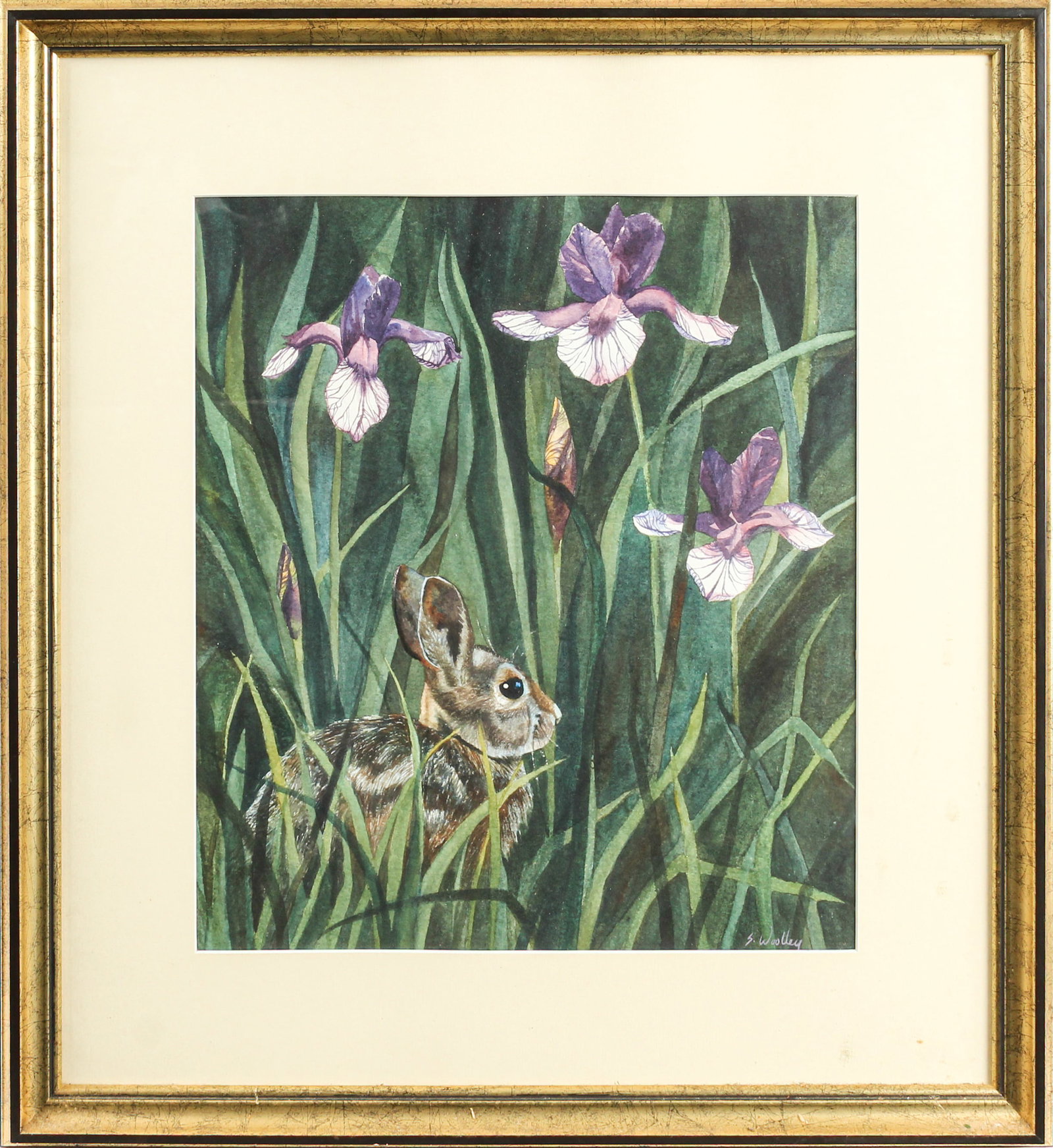 Stephanie Woolley (American, B. 1954) Rabbit and Irises Watercolor (1 of 6)