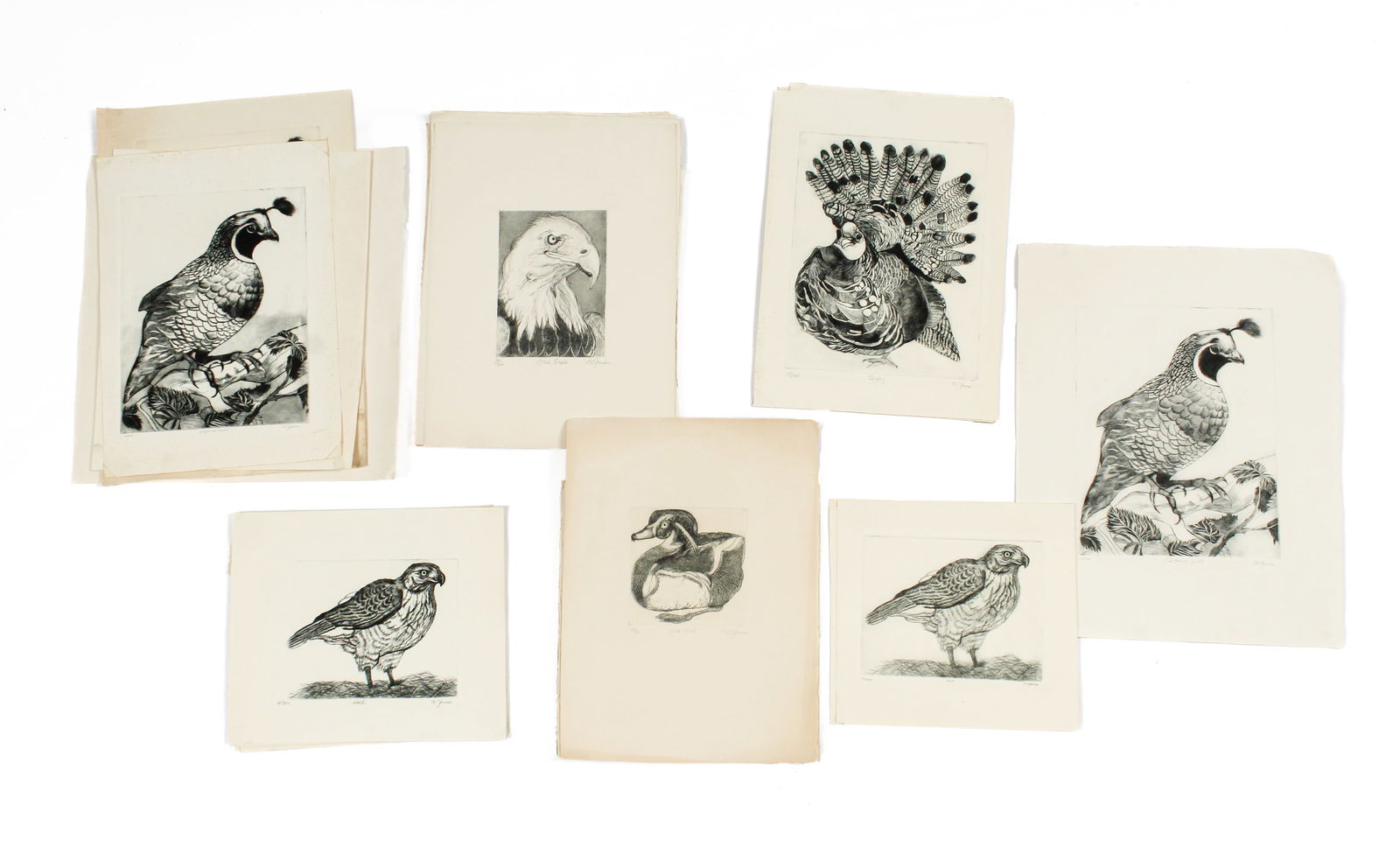 Christine McGinnis (American, 1937-2019) Forty Bird Etchings (1 of 8)