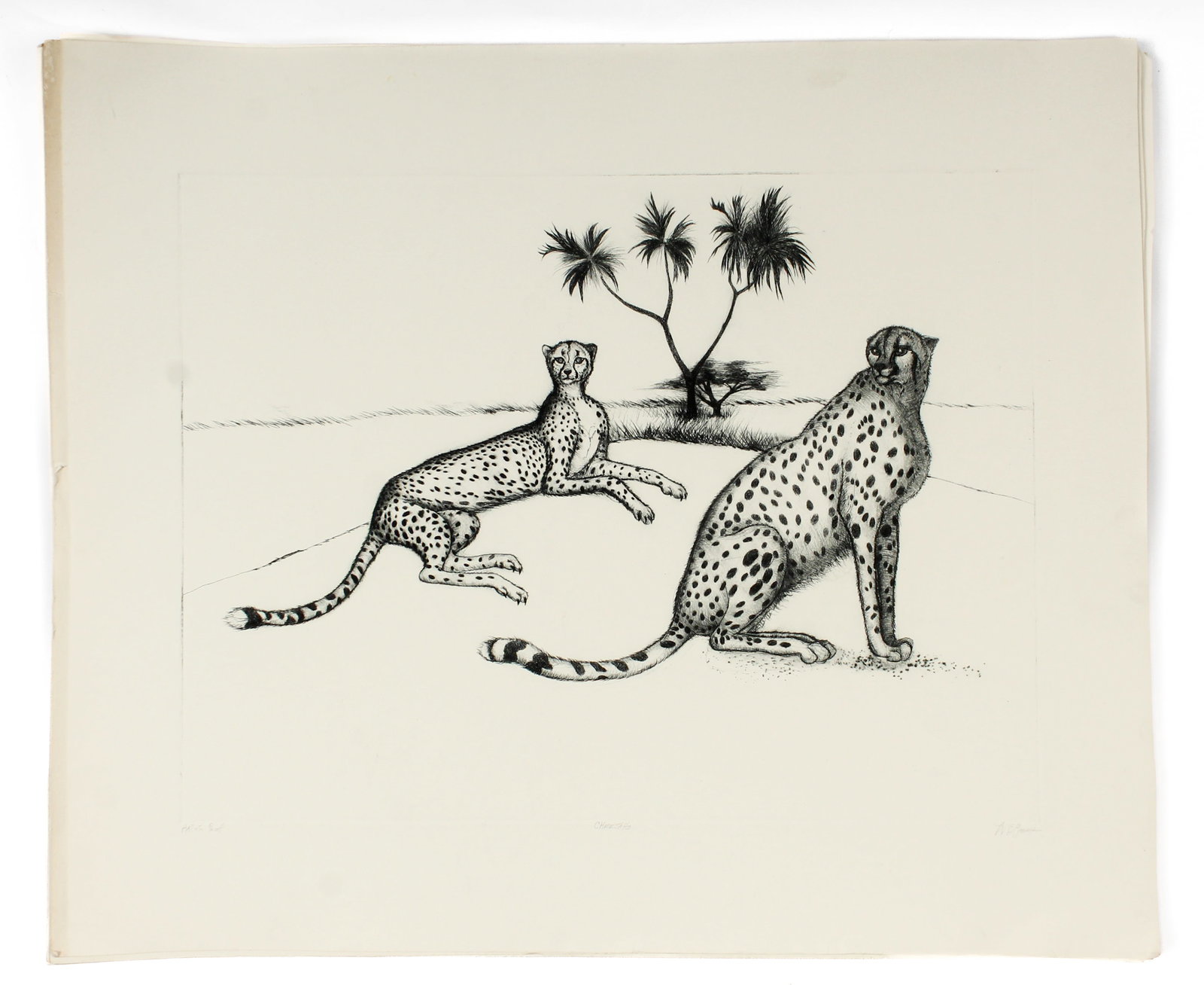 Christine McGinnis (American, 1937-2019) Twelve Cheetahs Lithographs: Description: Twelve lithographs on wove paper by Christine McGinnis depicting a recumbent and a sitting cheetah in a desert landscape. Markings & Inscriptions: Numbered, titled, and signedDate: Mid to