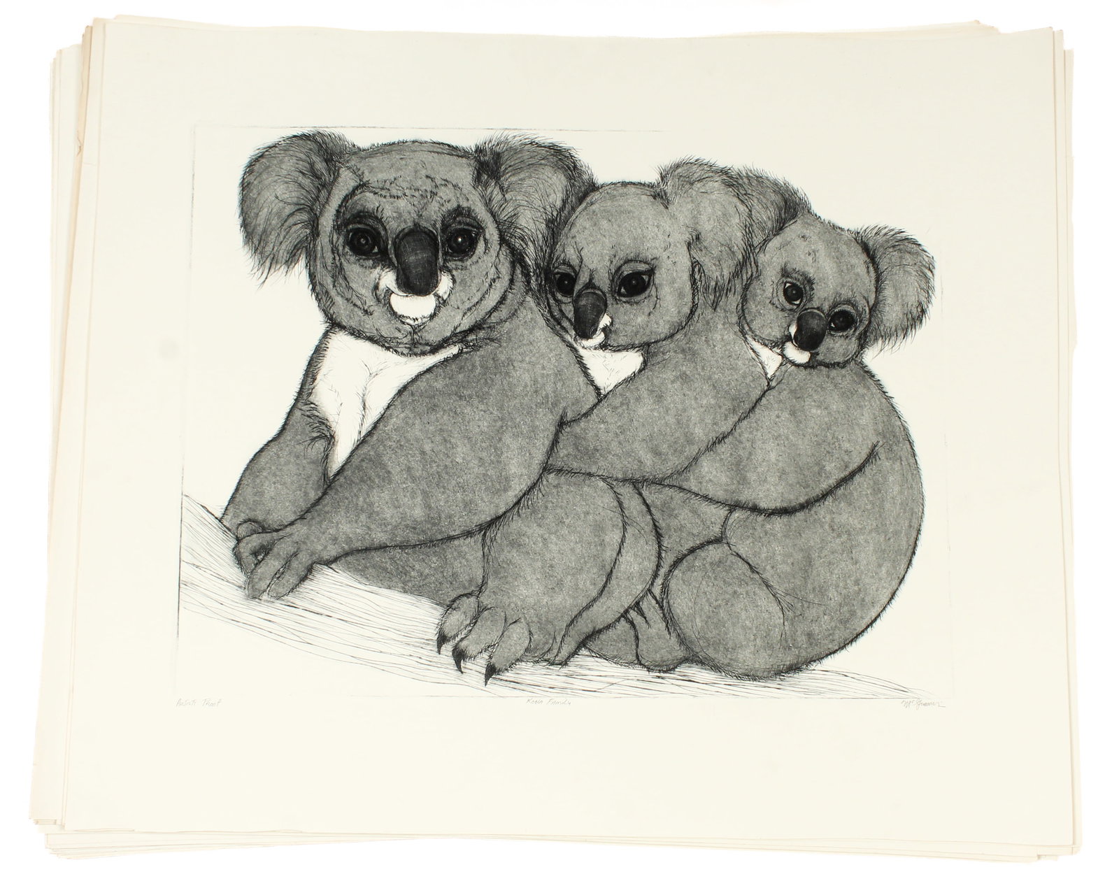 Christine McGinnis (American, 1937-2019) Koala Family, Thirty-Two Lithographs: Description: Thirty-two signed limited edition lithographs by Christine McGinnis on wove paper depicting a family of three koalas. Markings & Inscriptions: Numbered, titled, and signed Date: Mid to la